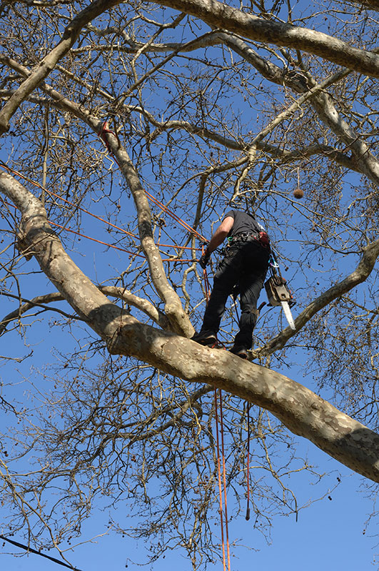 Brevard Screen Enclosures